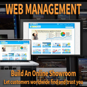 web management
